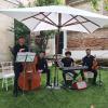 Solfamievents  Músicos Para Bodas En Tenerife