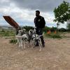 Fernando Guaman Adiestrador Canino