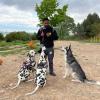 Fernando Guaman Adiestrador Canino