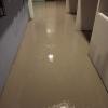 Remodelaciones Sinsajo Slu