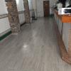 Remodelaciones Sinsajo Slu