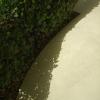 Construccioneslucia SOLERIA ZONA JARDIN
