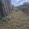 Forestal
