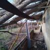Forestal