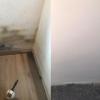 ANTES Y DESPUES DE TRATAMIENTO ANTI-MOHO Y DOS MANOS DE PINTURA ANTI-MOHO