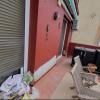 Arreglo De Fachada Por Humedad