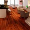 Dpbs Proyectos