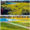 Harillitogarden