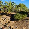 Harillitogarden