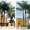 Harillitogarden