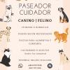 Facundo
