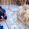 Gimasur  Control De Plagas Málaga