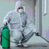 Gimasur  Control De Plagas Málaga