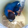 Gimasur  Control De Plagas Málaga