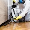 Gimasur  Control De Plagas Málaga