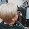 Corte pixie Bob