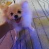 Cuidando a Lu
