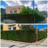 Sector Arbol