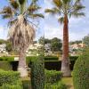 Sector Arbol