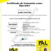 A. P. V. Reformas Estructuras Y Rehabilitaciones