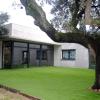 Edificacia Arquitectura Slp