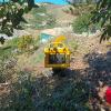 Multiservicios Agrícolas Migan Slu