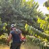 Multiservicios Agrícolas Migan Slu
