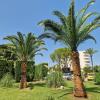 Beautyfull Gardens