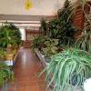 Sotobosque S. L.