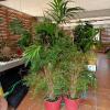 Sotobosque S. L.