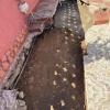 Red de desagüe en zanja en un patio de Reus - LUCMAR URBA