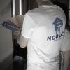Pinturas Nordés