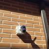 Instalación CCTV