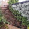 Jardin vertical con plantas naturales sistema celdas