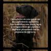 Truco360
