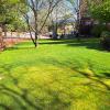 Mantenimiento de jardines madrid