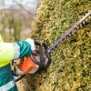 Mantenimiento de zonas verdes para particulares, empresas y comunidades Mantenimiento de zonas verdes para particulares, empresas y comunidades