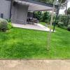 Buttervorthservicejardineria