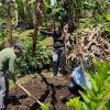 Preparación del terreno