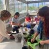 Clases de jardinería