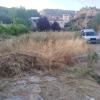 Antes