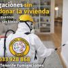 Control Tenerife Fumigaciones