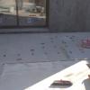 Reformas Y Construcción
