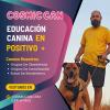 Cosmic Can Educación Canina En Positivo