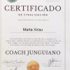 Formación como coach junguiana
