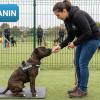 Eurocanin