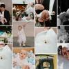 fotografia eventos