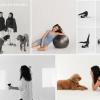 retratos en estudio
