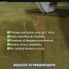 Purivia  Limpieza Desinfección E Impermiabilización De Tapizados