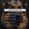 Sarucan